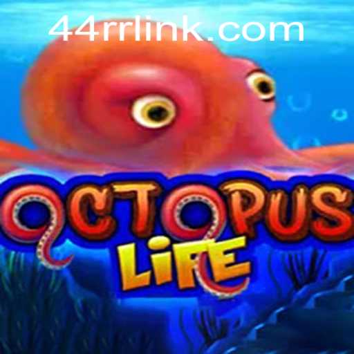 Discovering the Enigmatic World of OctopusLife: Unravel the Secrets Behind 44RR